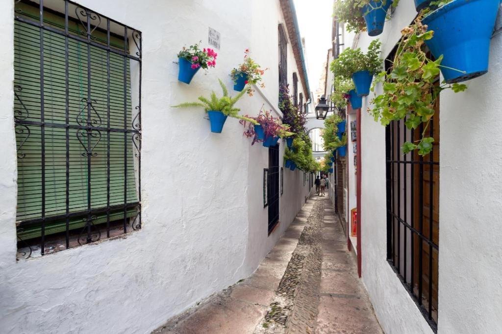 Apartmán Apartamento Carey Córdoba Exteriér fotografie